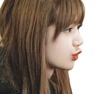 Sticker from Lisa