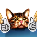 👍 emoji Meme The Cat Telegram sticker 13 of 42