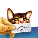 😕 emoji Meme The Cat Telegram sticker 16 of 42