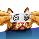 Sticker from Meme The Cat