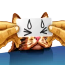 Sticker from Meme The Cat
