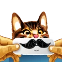 😶 emoji Meme The Cat Telegram sticker 24 of 42