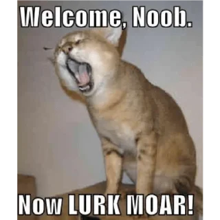 🐈 emoji Words Words Words Telegram sticker 12 of 118