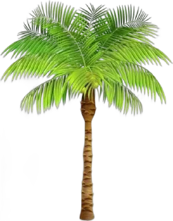 🌴 emoji N🌳ᥲ🌳t🌳ᥙ🌳r🌳ᥱ🙏DJ Telegram sticker 21 of 120