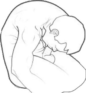 😋 emoji Buenas nalgas by @chupamatracas37 Telegram sticker 20 of 120