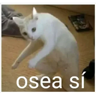 Sticker from Adri Cats 2