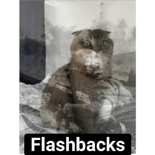 Sticker from Adri Cats 2