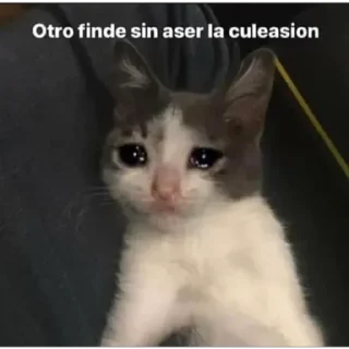 😪 emoji Michis Telegram sticker 21 of 64