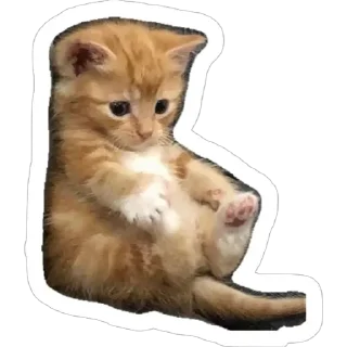 😌 emoji Michis Telegram sticker 3 of 64