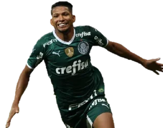 Sticker from Palmeiras