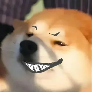 🐶 emoji 征途不给你画面你又能怎么样 — @stckrRobot Telegram sticker 13 of 29