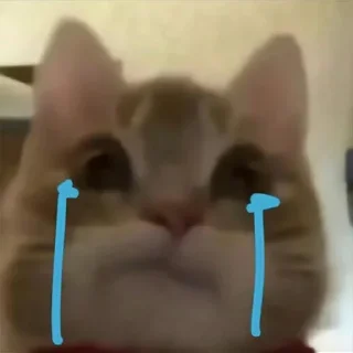 🐱 emoji 征途不给你画面你又能怎么样 — @stckrRobot Telegram sticker 3 of 29