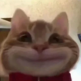 🐱 emoji 征途不给你画面你又能怎么样 — @stckrRobot Telegram sticker 6 of 29