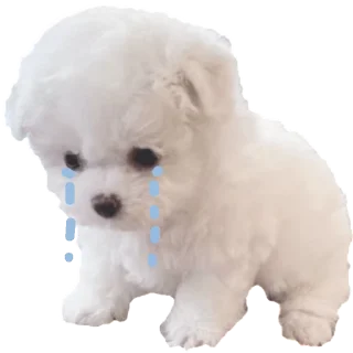 🐳 emoji 征途卷土重来 — @stckrRobot Telegram sticker 15 of 50
