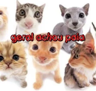 😼 emoji 𝗏𝗂𝖺𝖽𝗈 𝖽𝖾 𝖿𝗈́𝗋𝗎𝗆. Telegram sticker 12 of 105