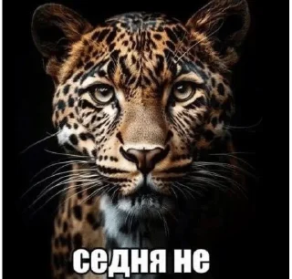 Sticker from че за имба стикерпак