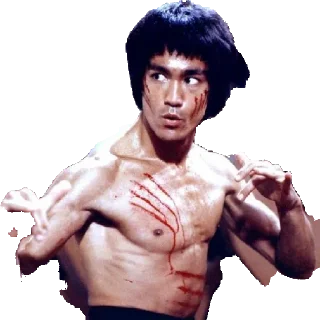 Sticker from Bruce leee