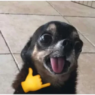 🤙 emoji Manguito Telegram sticker 10 of 69