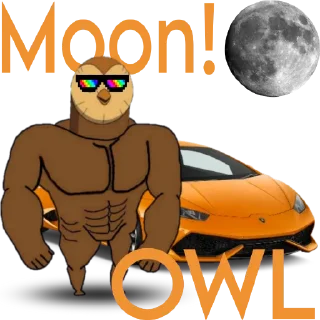 🚀 emoji $OWL Telegram sticker 10 of 10