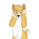 Sticker from Duke Corgi