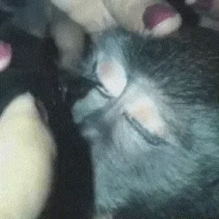 🧖‍♀️ emoji Luixs! | @painfullbest Telegram sticker 17 of 53