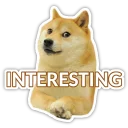 😮 emoji Doge Telegram sticker 8 of 16