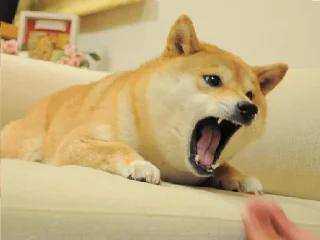 Sticker from Doge