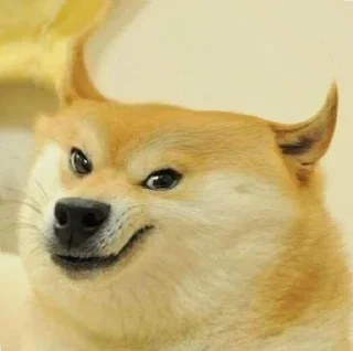 Sticker from Doge