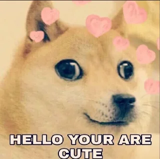 😍 emoji Doge Telegram sticker 8 of 8