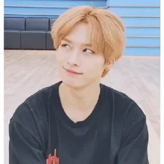 🥴 emoji Stray Kids Telegram sticker 18 of 91