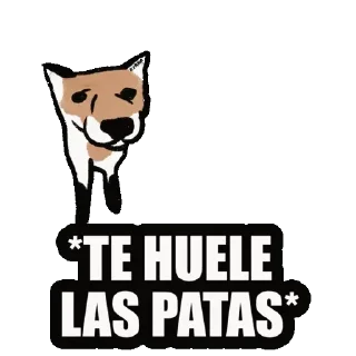 Sticker from Zo