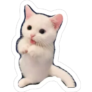 Sticker from Michis