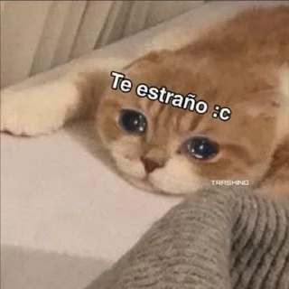 😢 emoji Adri Cats 2 Telegram sticker 6 of 98
