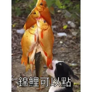 😊 emoji 錦鯉有咩高見 Telegram sticker 6 of 49