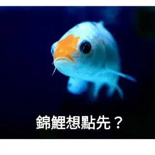 😊 emoji 錦鯉有咩高見 Telegram sticker 3 of 49