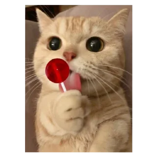 🍭 emoji animals Telegram sticker 18 of 66