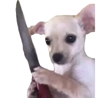 🔪 emoji animals Telegram sticker 17 of 66