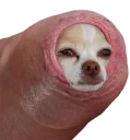 😂 emoji Penis Telegram sticker 1 of 26