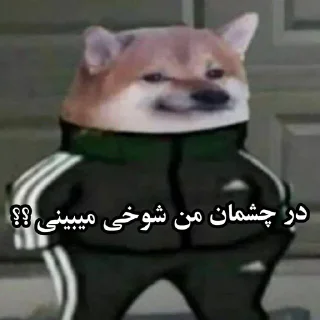 Sticker from @prokarud00 مبهم چنل