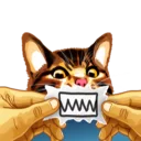 😡 emoji Meme The Cat Telegram sticker 19 of 42