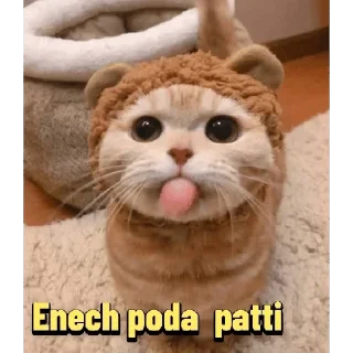😛 emoji Cat Malayalam @sticker_pack_channel — @stckrRobot Telegram sticker 15 of 120