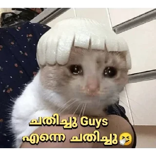🥺 emoji Cat Malayalam @sticker_pack_channel — @stckrRobot Telegram sticker 8 of 120