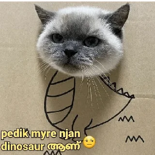 😂 emoji Cat Malayalam @sticker_pack_channel — @stckrRobot Telegram sticker 16 of 120