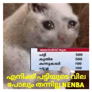 🥺 emoji Cat Malayalam @sticker_pack_channel — @stckrRobot Telegram sticker 13 of 120