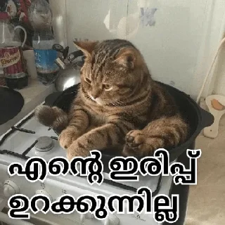 😂 emoji Cat Malayalam @sticker_pack_channel — @stckrRobot Telegram sticker 11 of 120