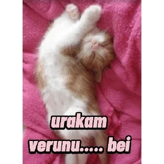 😂 emoji Cat Malayalam @sticker_pack_channel — @stckrRobot Telegram sticker 5 of 120