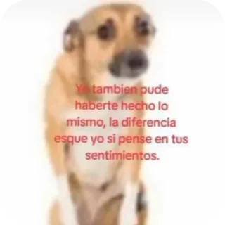 🐶 emoji By @Papitayoongu Telegram sticker 6 of 43