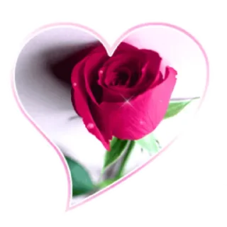 ♥️ emoji m≋a≋r≋c≋a≋d≋o≋r≋e≋s≋5 @HeraOfc Telegram sticker 5 of 118
