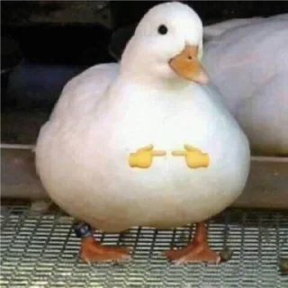 🦆 emoji er chuso Telegram sticker 14 of 41