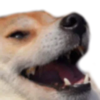 😂 emoji Discord Telegram sticker 23 of 56